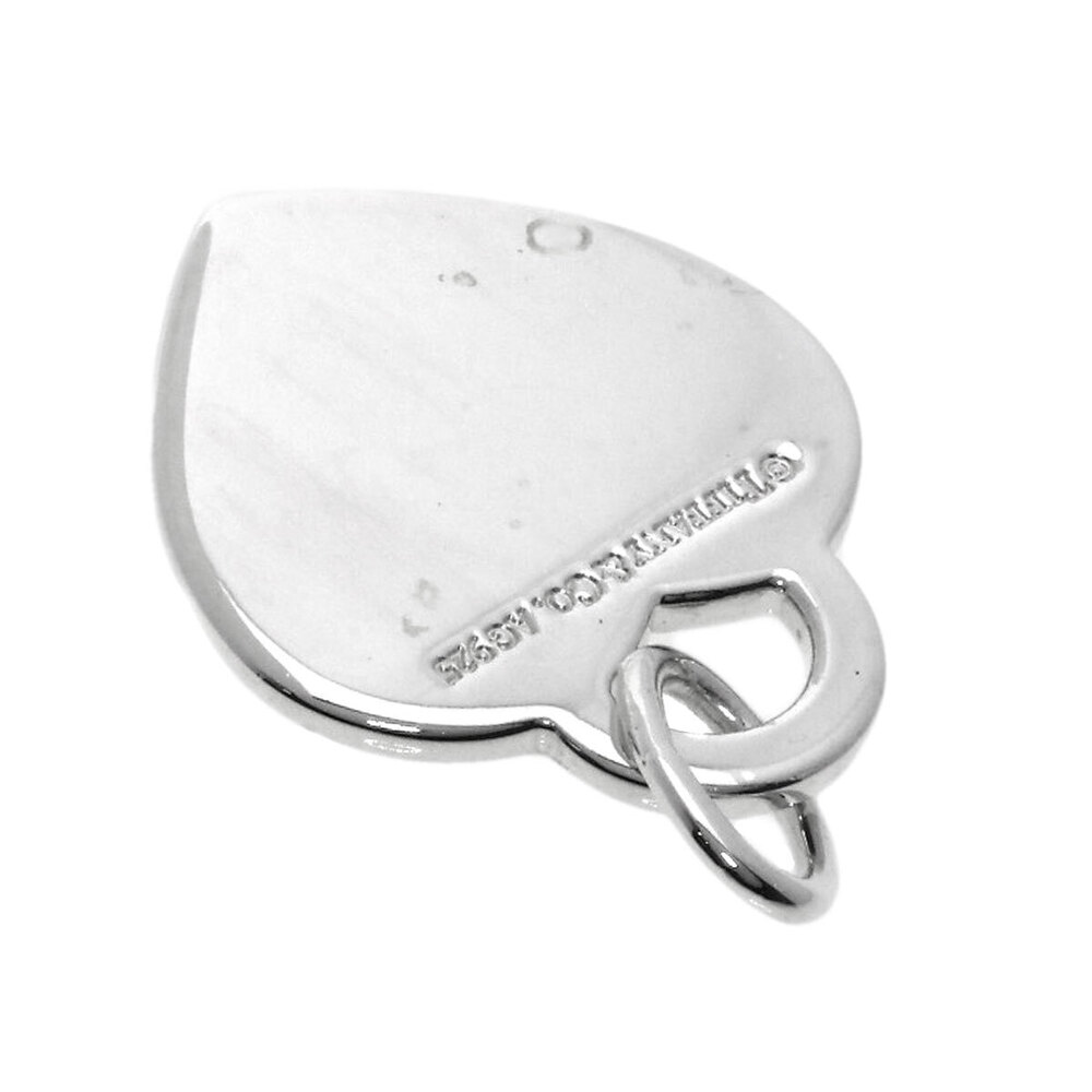 Tiffany to Color Splash Pendant Top Silver
